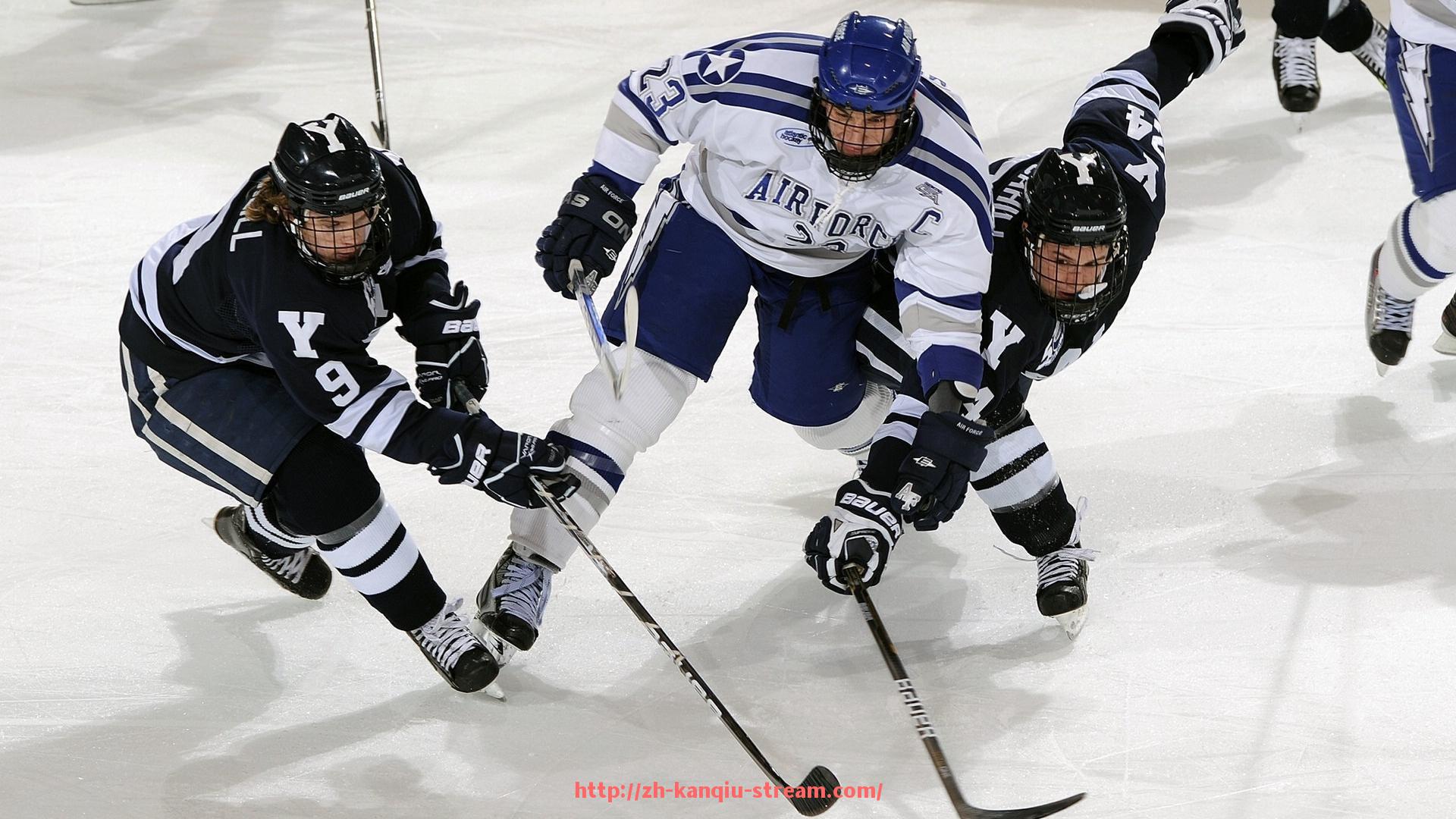 看球直播-全球球迷共创世俱杯互动助威合唱视频,奏响激情旋律